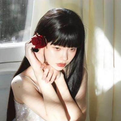 《琶声艳曲》封面